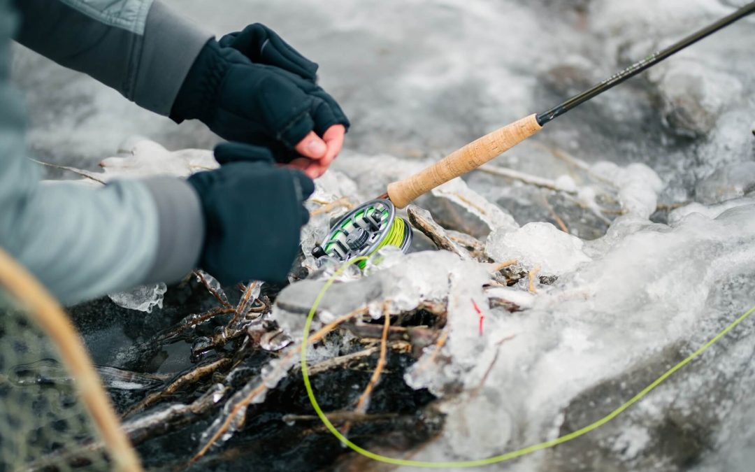 Winter Fly Fishing: The Complete Beginner’s Guide