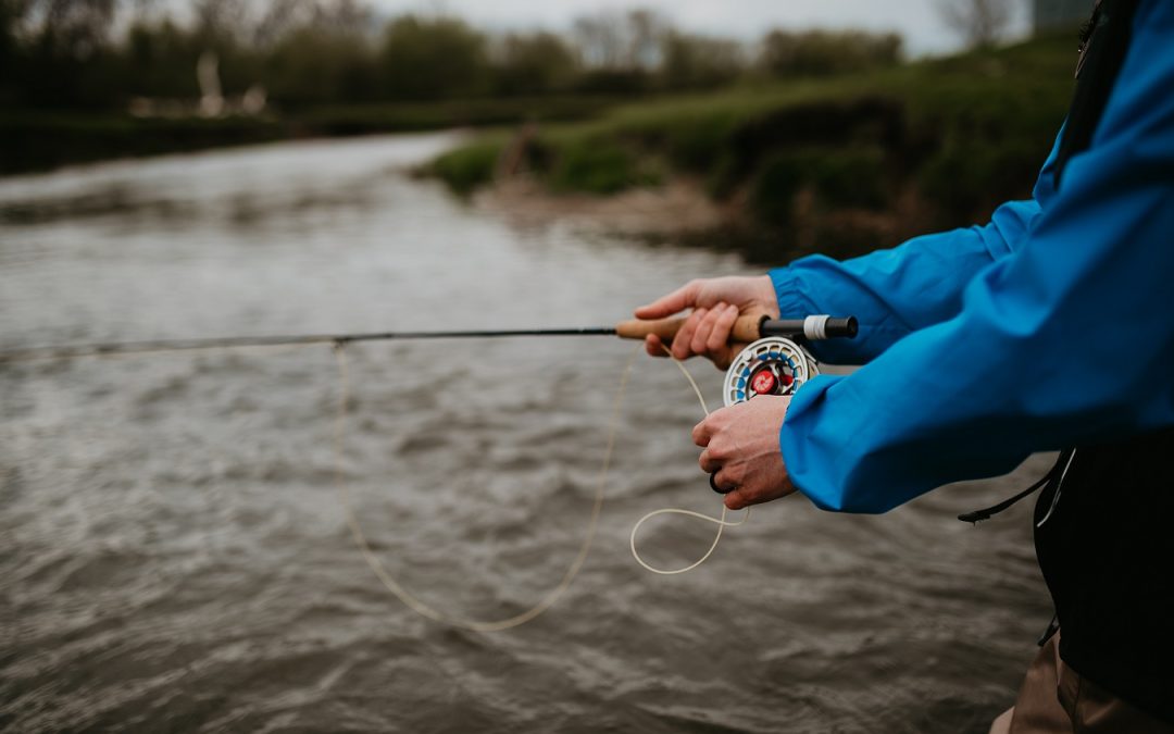 How to Choose a Fly Line: 4 Easy Rules for Beginners