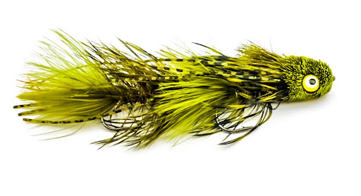 The sex dungeon smallmouth bass fly