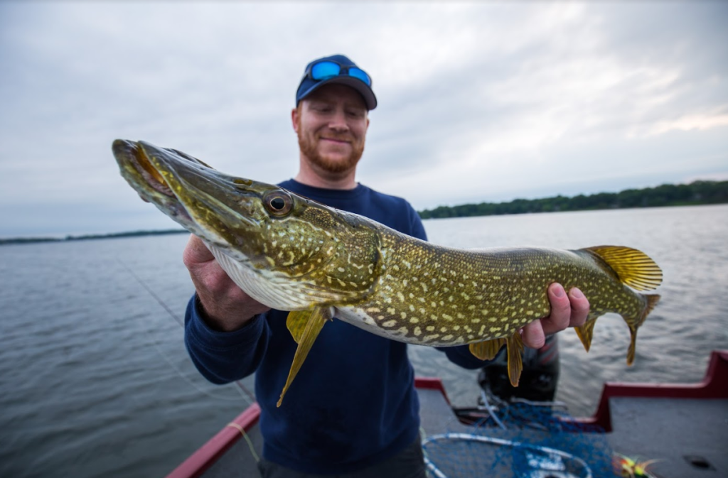 fly fishing for northern pike