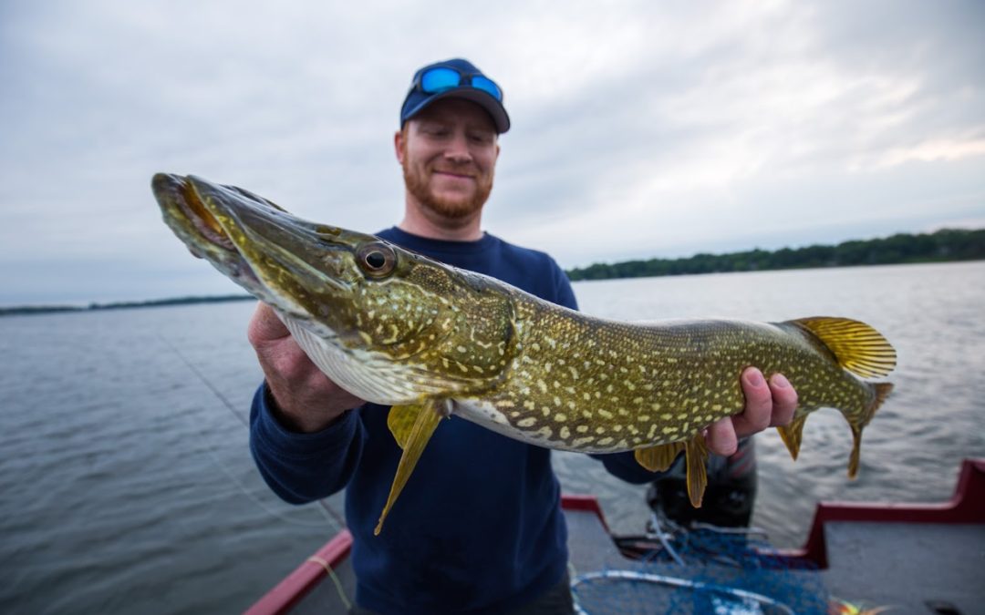 The Complete Guide to Fly Fishing for Northern Pike